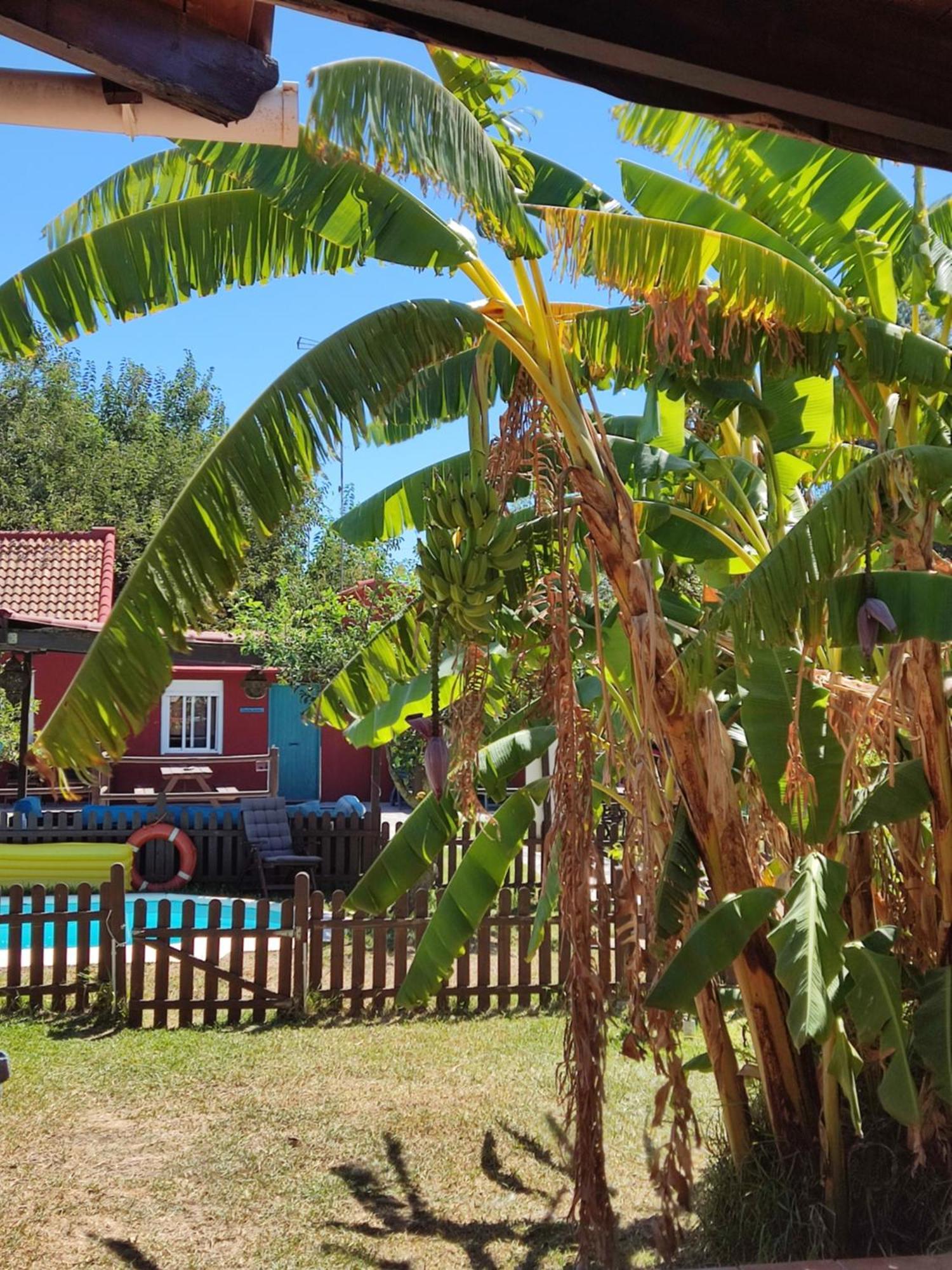 Karma House Guest House กาซาเรส ภายนอก รูปภาพ